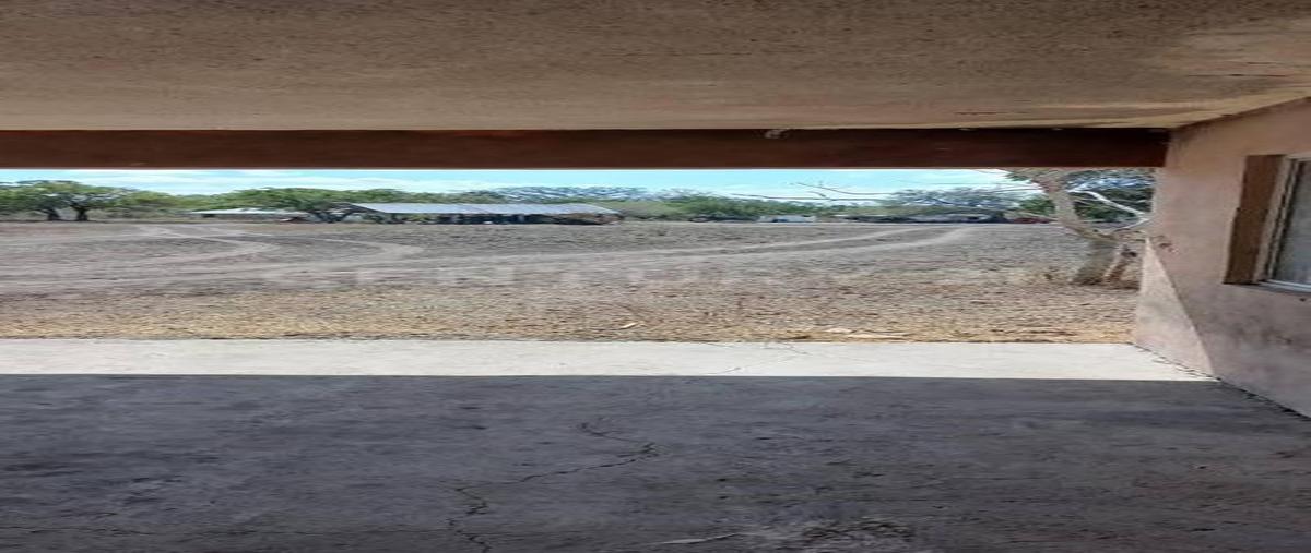 Foto de terreno habitacional en venta en  , gonzález [ejido], gonzález, tamaulipas, 0 No. 03